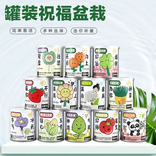 西红柿酱罐头的教程「罐头番茄盆栽怎么种植视频」 种植技巧 西红柿酱罐头的教程「罐头番茄盆栽怎么种植视频」 西红柿酱罐头的教程「罐头番茄盆栽怎么种植视频」 种植技巧