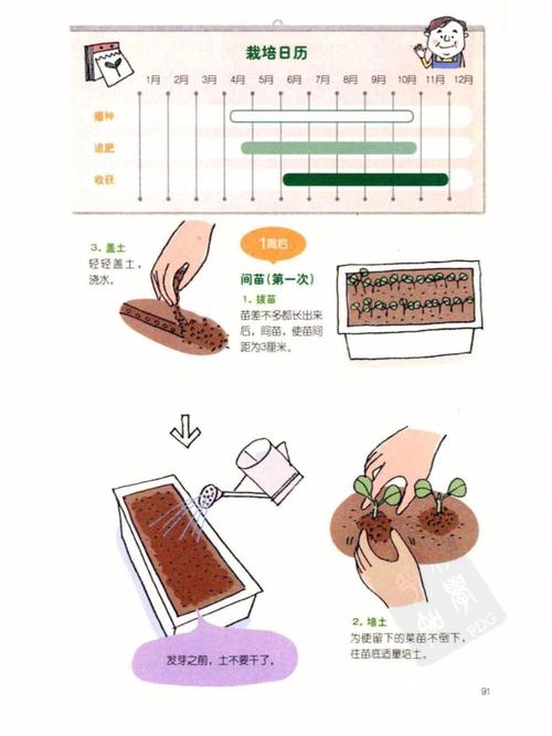 2020年春季适合播种哪些蔬菜,蔬菜种植注意事项又有哪些呢「小学生蔬菜种植技巧视频教程」 植物种类 2020年春季适合播种哪些蔬菜,蔬菜种植注意事项又有哪些呢「小学生蔬菜种植技巧视频教程」 2020年春季适合播种哪些蔬菜,蔬菜种植注意事项又有哪些呢「小学生蔬菜种植技巧视频教程」 植物种类