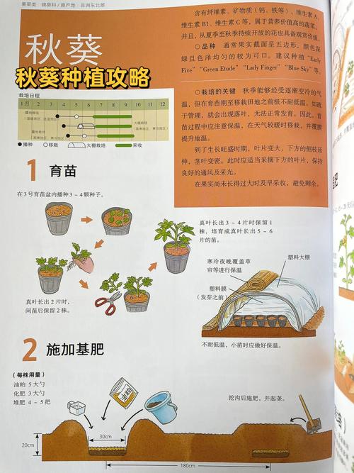 庭院种植方法和技巧「庭园蔬菜种植技巧和方法视频」 庭院种植方法和技巧「庭园蔬菜种植技巧和方法视频」 番茄病虫害防治