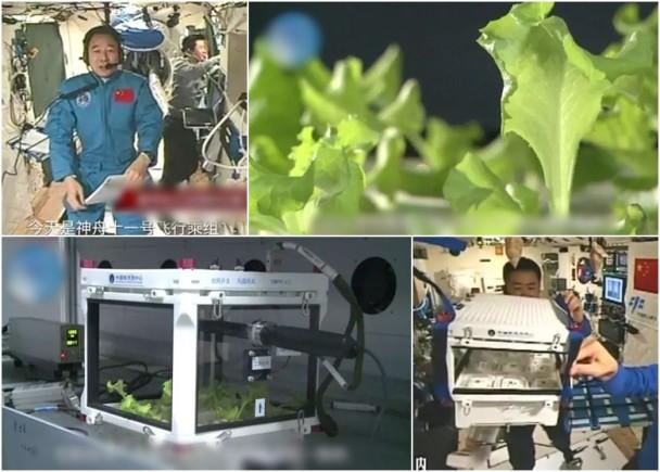 宇航员在太空怎么栽培的蔬菜「太空番茄种植方法」 宇航员在太空怎么栽培的蔬菜「太空番茄种植方法」 农业常识