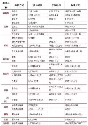 辽宁7到8月份适合种的菜「辽宁地区蔬菜种植技巧和方法」 辽宁7到8月份适合种的菜「辽宁地区蔬菜种植技巧和方法」 花朵知识