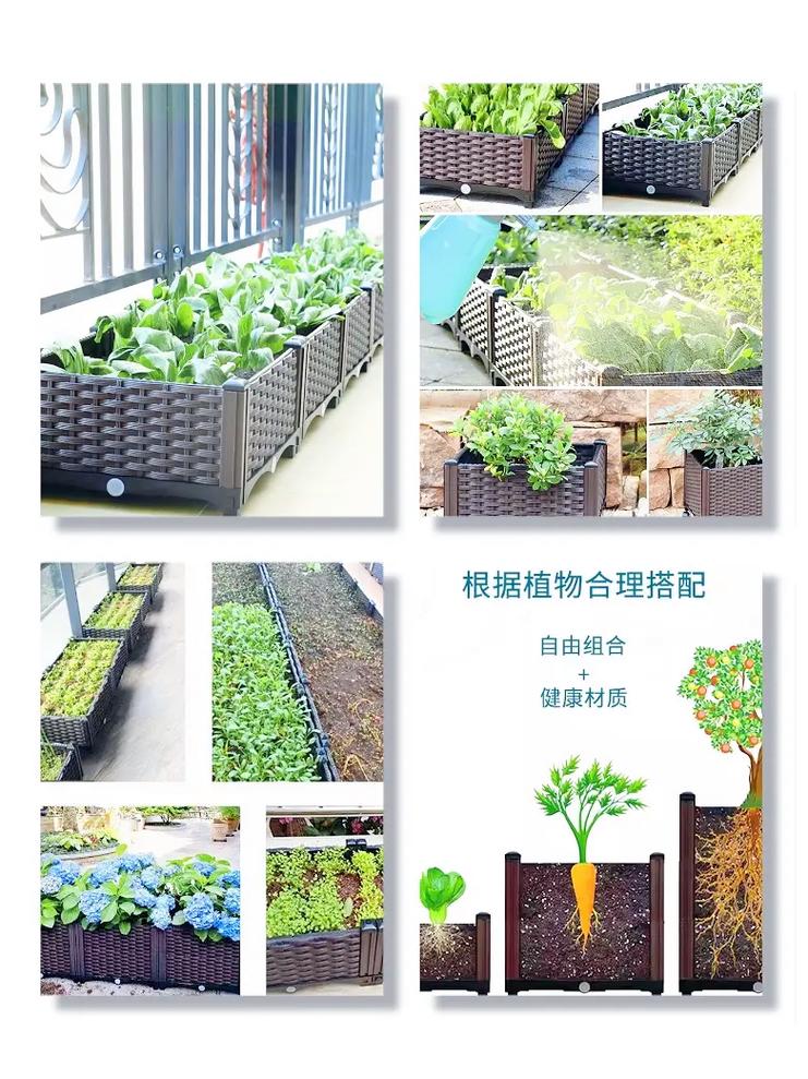 家庭楼顶种菜，菜怎样能快速生长「屋顶蔬菜种植技巧图解视频」 家庭楼顶种菜，菜怎样能快速生长「屋顶蔬菜种植技巧图解视频」 花朵知识