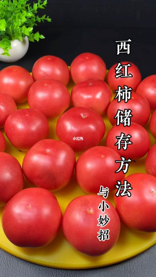 番茄保存很长时间正确方式「家里种植的番茄怎么保存时间长」 番茄保存很长时间正确方式「家里种植的番茄怎么保存时间长」 种植技巧