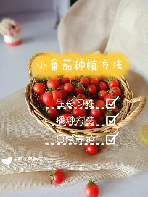 你身边的异性同性都有过什么样的暧昧经历「番茄怎么种植方法视频」 你身边的异性同性都有过什么样的暧昧经历「番茄怎么种植方法视频」 番茄种植技巧