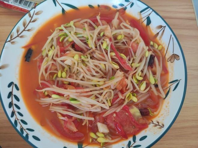 西红柿炒豆芽怎么炒「番茄豆芽怎么种植的图片大全」 西红柿炒豆芽怎么炒「番茄豆芽怎么种植的图片大全」 番茄种植技巧