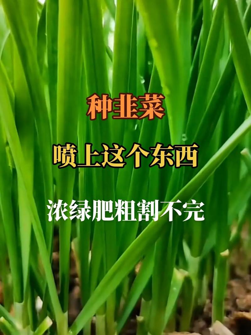 种菜过程可以拍成三农类的视频上传到网上吗，会有人喜欢看吗「蔬菜种植2个技巧视频教程」 种菜过程可以拍成三农类的视频上传到网上吗，会有人喜欢看吗「蔬菜种植2个技巧视频教程」 农业常识