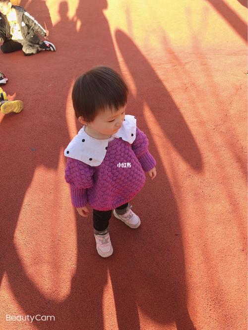 菠萝纹毛衣编织教程「菠萝番茄怎么种植视频教程」 菠萝纹毛衣编织教程「菠萝番茄怎么种植视频教程」 种植技巧
