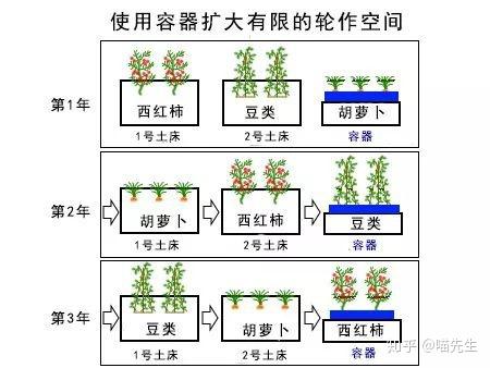 如何科学安排蔬菜轮作，有哪些原则可遵循「传播蔬菜种植小技巧有哪些」 如何科学安排蔬菜轮作，有哪些原则可遵循「传播蔬菜种植小技巧有哪些」 农业常识