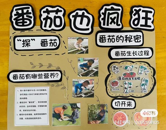 你觉得哪一本书对你的帮助最大、影响最深「番茄种植展板照片怎么拍好看」 你觉得哪一本书对你的帮助最大、影响最深「番茄种植展板照片怎么拍好看」 番茄病虫害防治