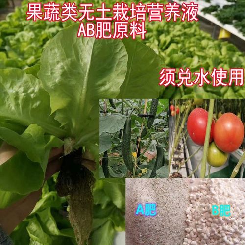水培黄瓜营养液的配制方法「番茄营养液怎么种植视频」 水培黄瓜营养液的配制方法「番茄营养液怎么种植视频」 种植技巧