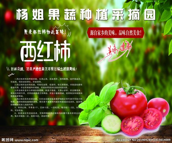 树番茄宣传文案「番茄种植总结文案怎么写好」 树番茄宣传文案「番茄种植总结文案怎么写好」 农业常识
