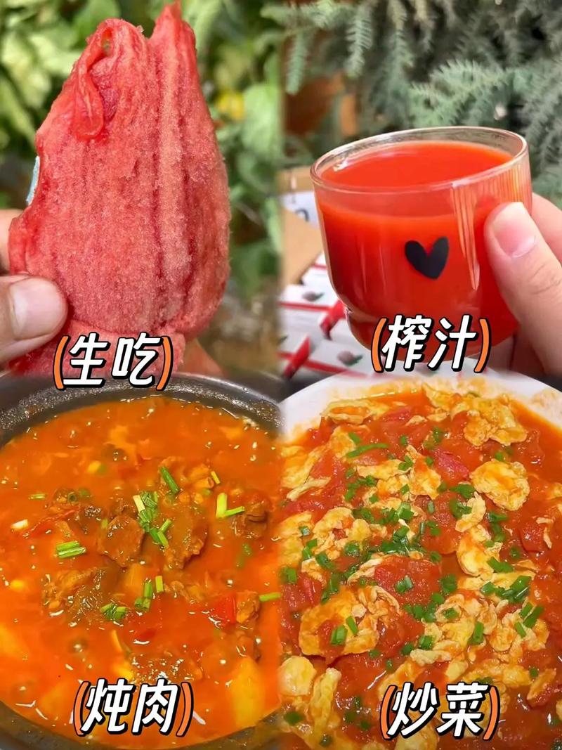 芒果蜜番茄适合北方种植吗「芒果番茄怎么种植视频教程」 芒果蜜番茄适合北方种植吗「芒果番茄怎么种植视频教程」 土壤施肥