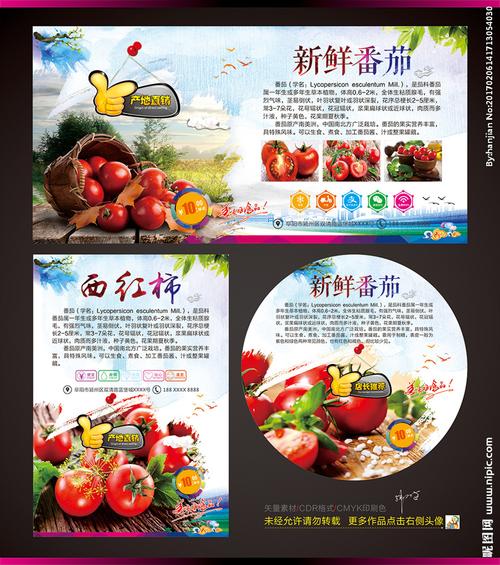 出售西红柿用什么话术「种植的番茄怎么销售呢视频」 出售西红柿用什么话术「种植的番茄怎么销售呢视频」 种植技巧