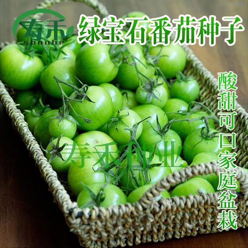有一种叫“贼不偷”的番茄品种怎么样？应该怎么种植呢「绿宝石番茄怎么种植方法」 有一种叫“贼不偷”的番茄品种怎么样？应该怎么种植呢「绿宝石番茄怎么种植方法」 种植技巧