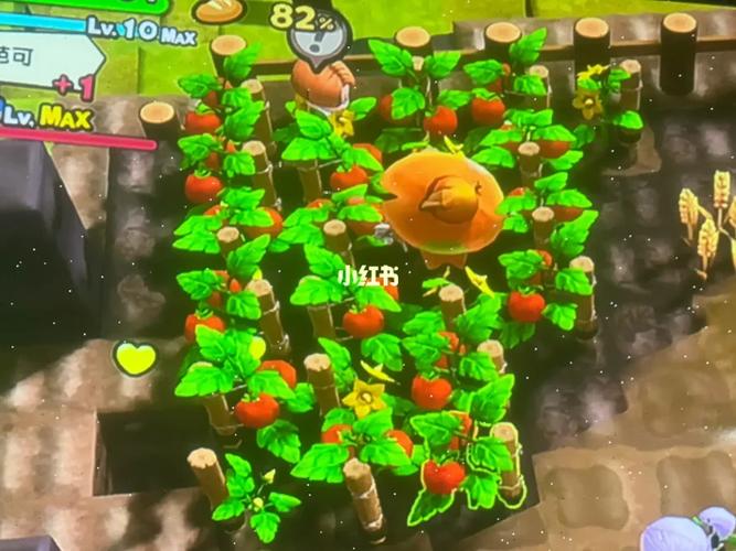 创世小玩家2怎么种番茄「剩下的番茄怎么种植呢视频」 创世小玩家2怎么种番茄「剩下的番茄怎么种植呢视频」 番茄病虫害防治
