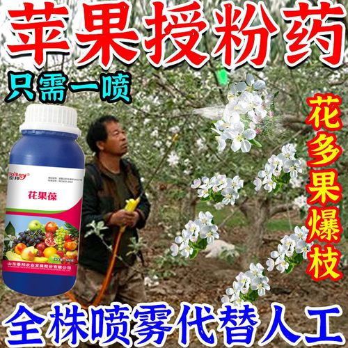什么农药能防治苹果落花落果「小番茄种植怎么留枝视频」 什么农药能防治苹果落花落果「小番茄种植怎么留枝视频」 花朵知识