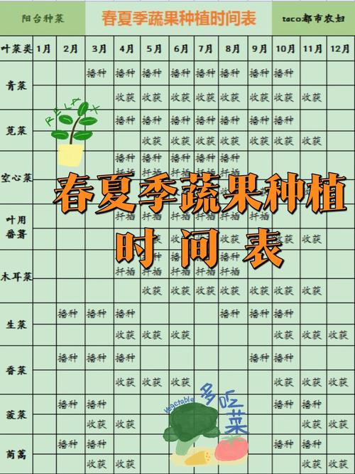 阳台青菜的种植方法和时间「阳台蔬菜种植小技巧视频」 阳台青菜的种植方法和时间「阳台蔬菜种植小技巧视频」 种植技巧