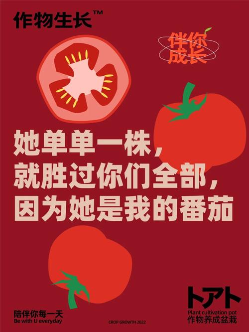 有哪些文笔质量比较不错的在线小说可以推荐「番茄种植图书推荐怎么写文案」 有哪些文笔质量比较不错的在线小说可以推荐「番茄种植图书推荐怎么写文案」 花朵知识