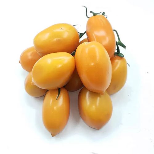 西红柿黄果怎么回事「黄色的番茄怎么种植的」 西红柿黄果怎么回事「黄色的番茄怎么种植的」 花朵知识