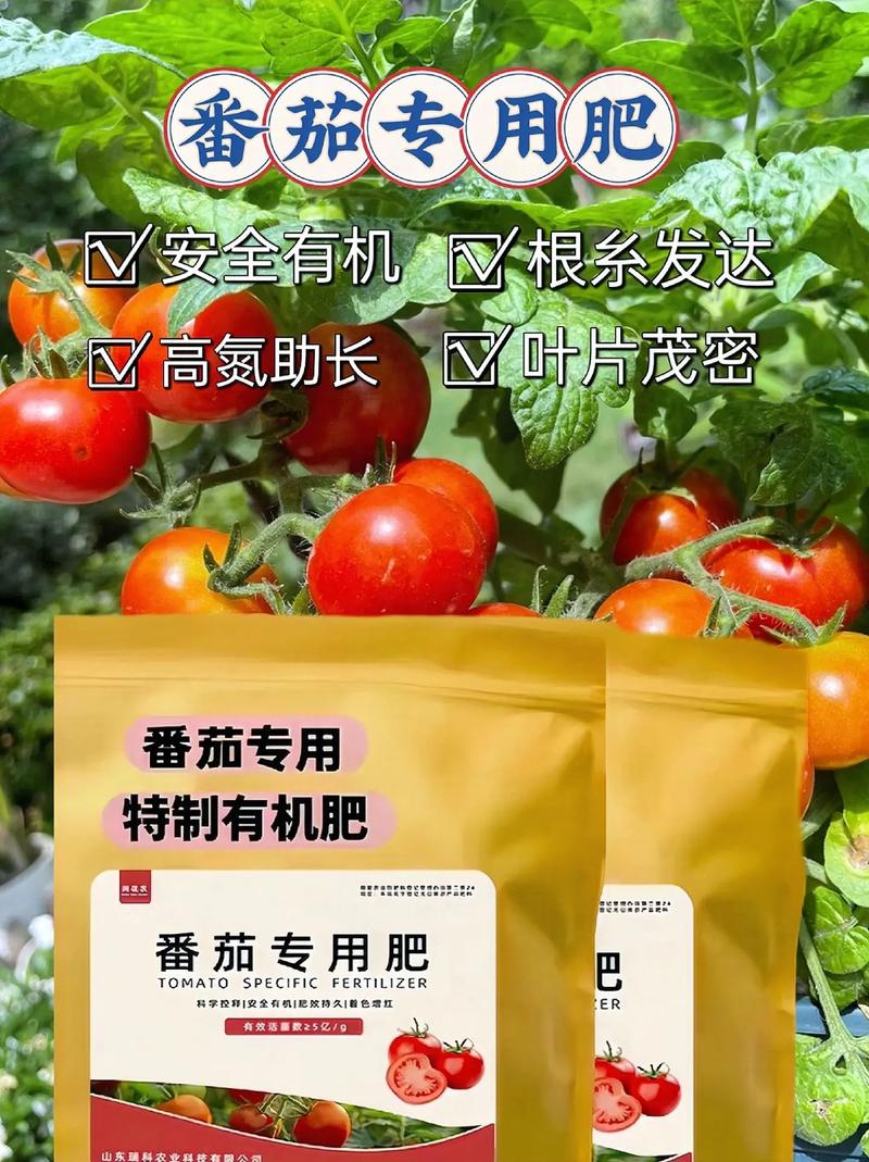 家庭垃圾废料如何自制养花肥料「种植番茄怎么留瓜子枝」 家庭垃圾废料如何自制养花肥料「种植番茄怎么留瓜子枝」 番茄病虫害防治