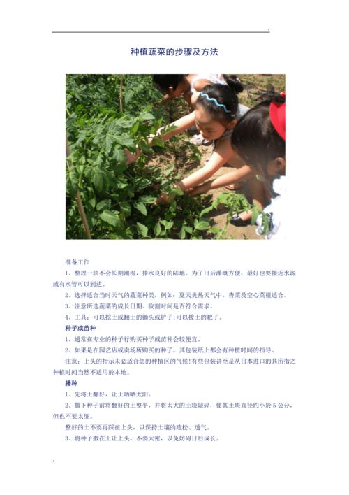 有哪些蔬菜种植时可以不用化肥农药也能稳产丰产「蔬菜种植小技巧不用土壤」 有哪些蔬菜种植时可以不用化肥农药也能稳产丰产「蔬菜种植小技巧不用土壤」 农业常识