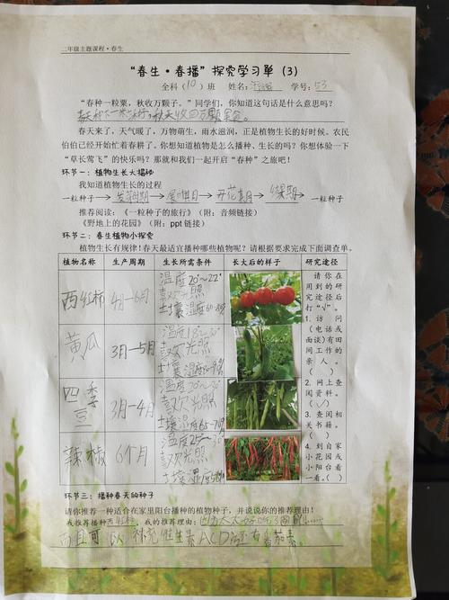 黄瓜西红柿怎样种植和管理「番茄合作种植方案怎么写的」 黄瓜西红柿怎样种植和管理「番茄合作种植方案怎么写的」 土壤施肥