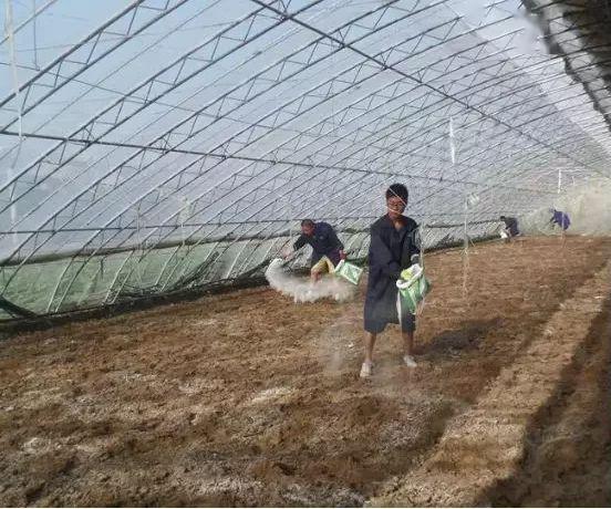如何进行蔬菜地土壤消毒「蔬菜种植杀菌技巧有哪些呢」 如何进行蔬菜地土壤消毒「蔬菜种植杀菌技巧有哪些呢」 种植技巧