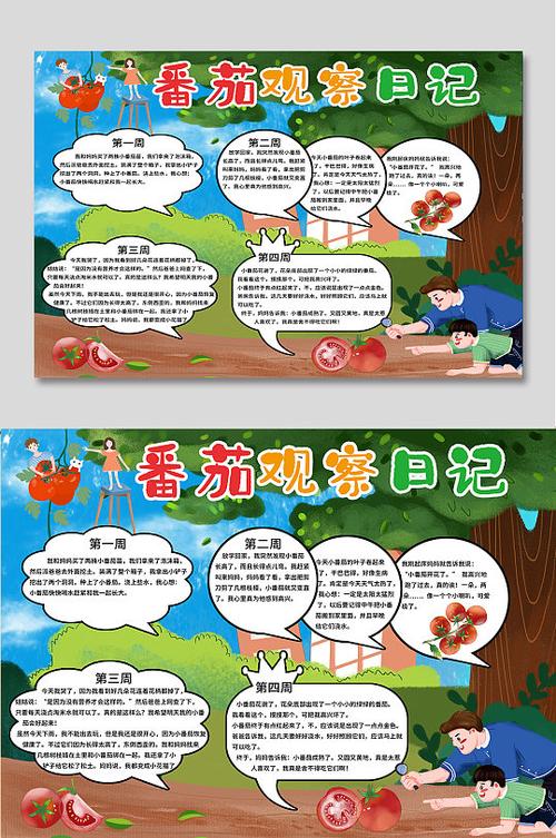 农家西红柿文案「番茄怎么种植蔬菜文案短句」 农家西红柿文案「番茄怎么种植蔬菜文案短句」 农业常识