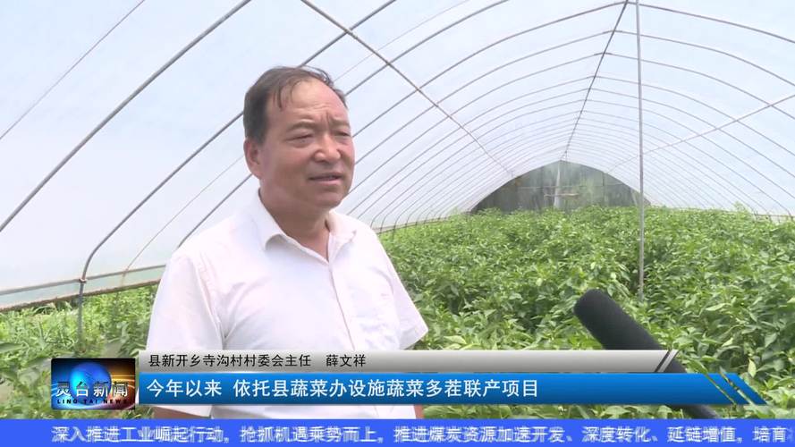 农村蔬菜的产出怎么形成规模化、产业化「销售技巧蔬菜种植图片高清」 农村蔬菜的产出怎么形成规模化、产业化「销售技巧蔬菜种植图片高清」 农业常识