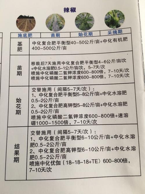泥土施肥体系计划与实现,泥土施肥原则。 泥土施肥体系计划与实现,泥土施肥原则。 土壤施肥