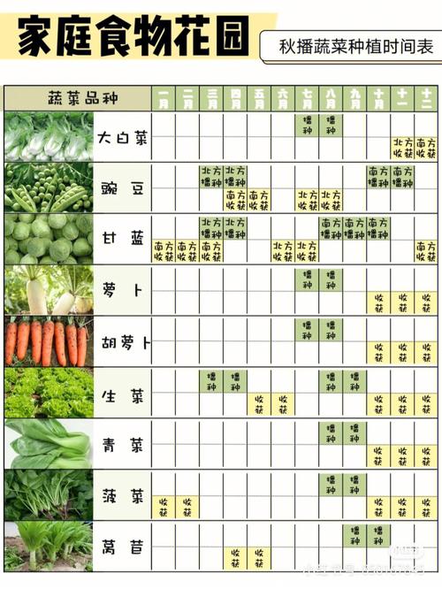 2020年春季适合播种哪些蔬菜，蔬菜种植注意事项又有哪些呢「盘点蔬菜种植小技巧视频教程」 2020年春季适合播种哪些蔬菜，蔬菜种植注意事项又有哪些呢「盘点蔬菜种植小技巧视频教程」 番茄种植技巧