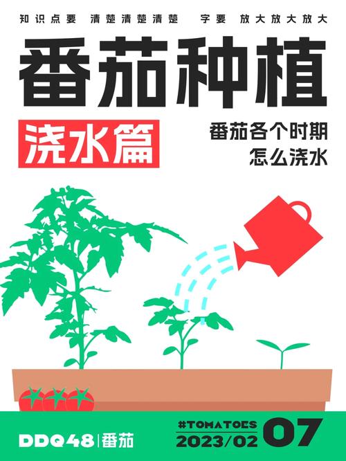 番茄小说视频推文怎么做「田园番茄怎么种植视频教程」 番茄小说视频推文怎么做「田园番茄怎么种植视频教程」 农业常识