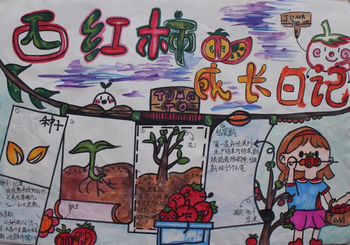 5岁儿童的绘本，哪些绘本好「盆栽番茄种植日记怎么写的」 5岁儿童的绘本，哪些绘本好「盆栽番茄种植日记怎么写的」 番茄病虫害防治