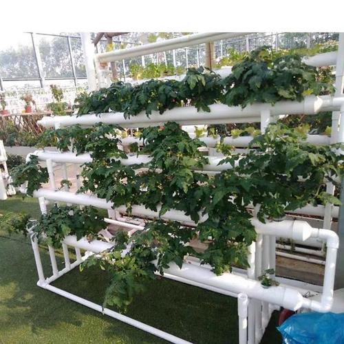 pvc排水管怎样种蔬菜「儿童蔬菜种植小技巧图片大全」 pvc排水管怎样种蔬菜「儿童蔬菜种植小技巧图片大全」 番茄种植技巧