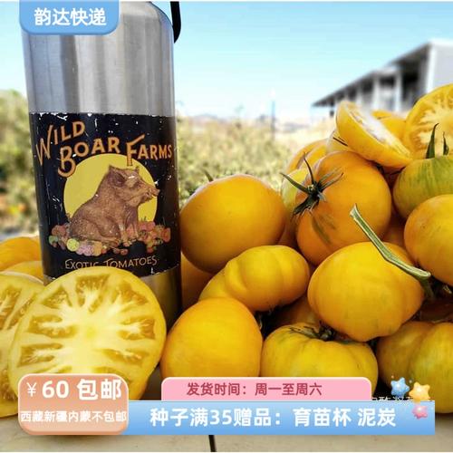 潮汕猪排腌制方法「潮汕番茄种子怎么种植的视频」 潮汕猪排腌制方法「潮汕番茄种子怎么种植的视频」 番茄病虫害防治