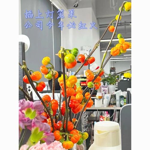 南瓜能和西红柿一起吃吗「水培南瓜番茄怎么种植视频」 南瓜能和西红柿一起吃吗「水培南瓜番茄怎么种植视频」 种植技巧