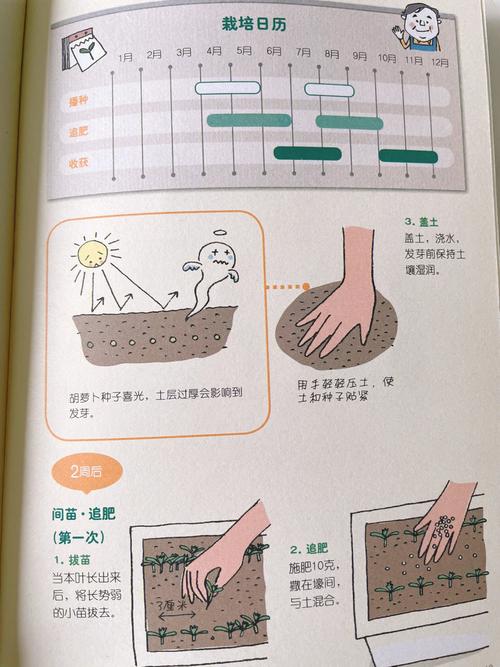 萝卜如何种植,简单种植萝卜的技巧「蔬菜种植技巧原理图示解释」 花朵知识 萝卜如何种植,简单种植萝卜的技巧「蔬菜种植技巧原理图示解释」 萝卜如何种植,简单种植萝卜的技巧「蔬菜种植技巧原理图示解释」 花朵知识