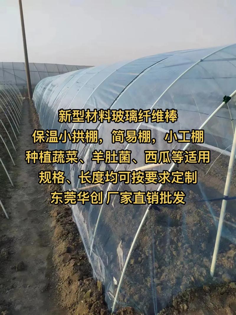 小拱棚蔬菜有哪些优缺点？哪些蔬菜适合用小拱棚种植「小学生蔬菜种植技巧图片大全」 小拱棚蔬菜有哪些优缺点？哪些蔬菜适合用小拱棚种植「小学生蔬菜种植技巧图片大全」 番茄病虫害防治