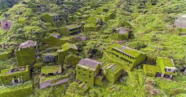 水晶宽粉的做法「水晶番茄怎么种植的多一点」 水晶宽粉的做法「水晶番茄怎么种植的多一点」 番茄种植技巧