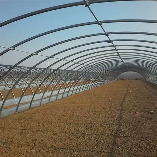 蔬菜大棚夏季怎样闷棚「大棚夏季蔬菜种植的技巧有哪些」 蔬菜大棚夏季怎样闷棚「大棚夏季蔬菜种植的技巧有哪些」 农业常识