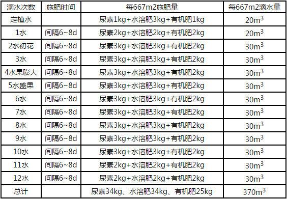 番茄中后期的尿素使用方法「种植番茄怎么使用尿素肥料」 番茄中后期的尿素使用方法「种植番茄怎么使用尿素肥料」 番茄种植技巧