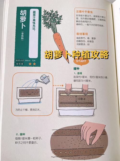 蔬菜种植技巧「6种蔬菜种植小技巧视频」 蔬菜种植技巧「6种蔬菜种植小技巧视频」 番茄病虫害防治
