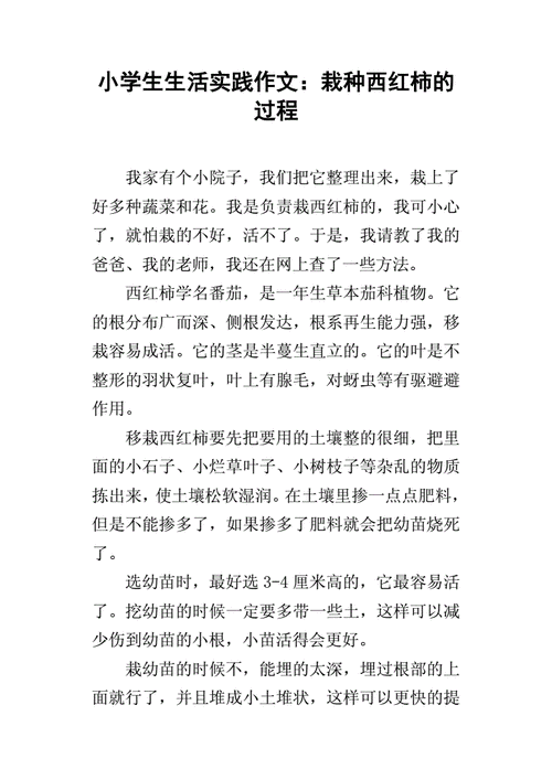番茄树怎么种植「我要怎么种植番茄作文」 番茄树怎么种植「我要怎么种植番茄作文」 种植技巧