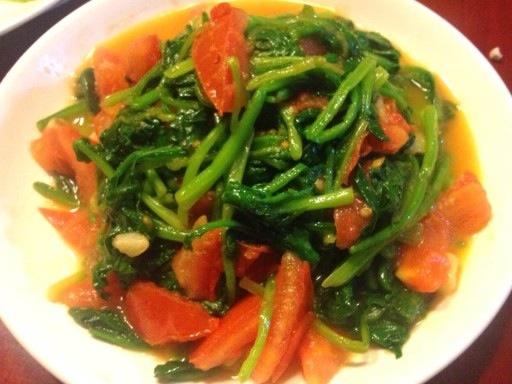 菠菜西红柿粉丝做法「菠菜品种番茄怎么种植的视频」 菠菜西红柿粉丝做法「菠菜品种番茄怎么种植的视频」 植物种类