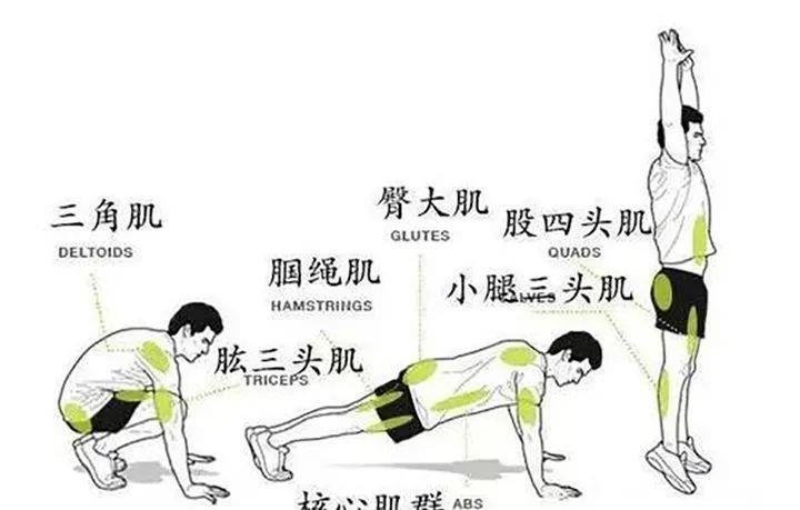 波比跳和开合跳要怎么做？该怎么安排强度「无土小番茄怎么种植视频教程」 波比跳和开合跳要怎么做？该怎么安排强度「无土小番茄怎么种植视频教程」 种植技巧
