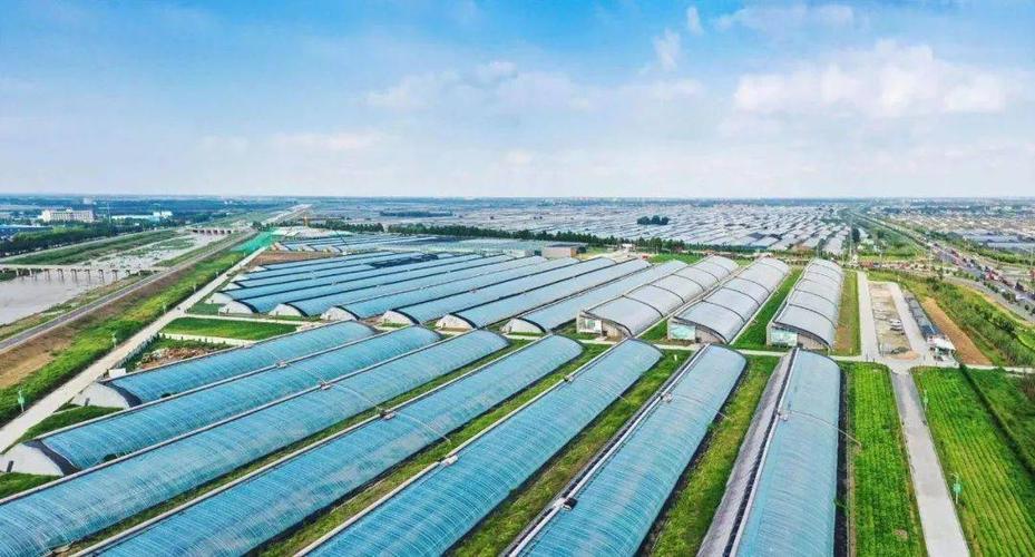 寿光成为蔬菜之乡的原因「寿光蔬菜种植技巧和方法」 寿光成为蔬菜之乡的原因「寿光蔬菜种植技巧和方法」 花朵知识