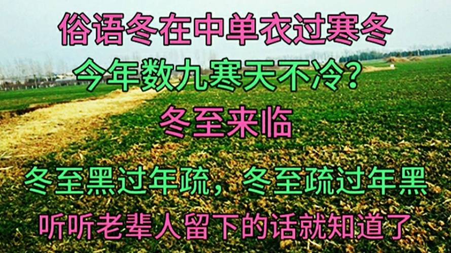 农村老人爱说：冬在中，单衣能过冬，今年过年冷不冷呢「酒酒归一是什么意思」 农村老人爱说：冬在中，单衣能过冬，今年过年冷不冷呢「酒酒归一是什么意思」 植物种类