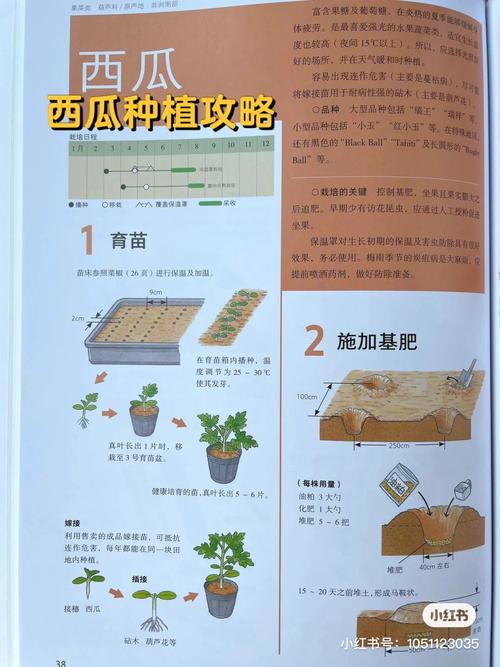 哪些水果蔬菜种植简单，易成活，很快结果的「瓜果类蔬菜种植技巧图解大全」 哪些水果蔬菜种植简单，易成活，很快结果的「瓜果类蔬菜种植技巧图解大全」 土壤施肥
