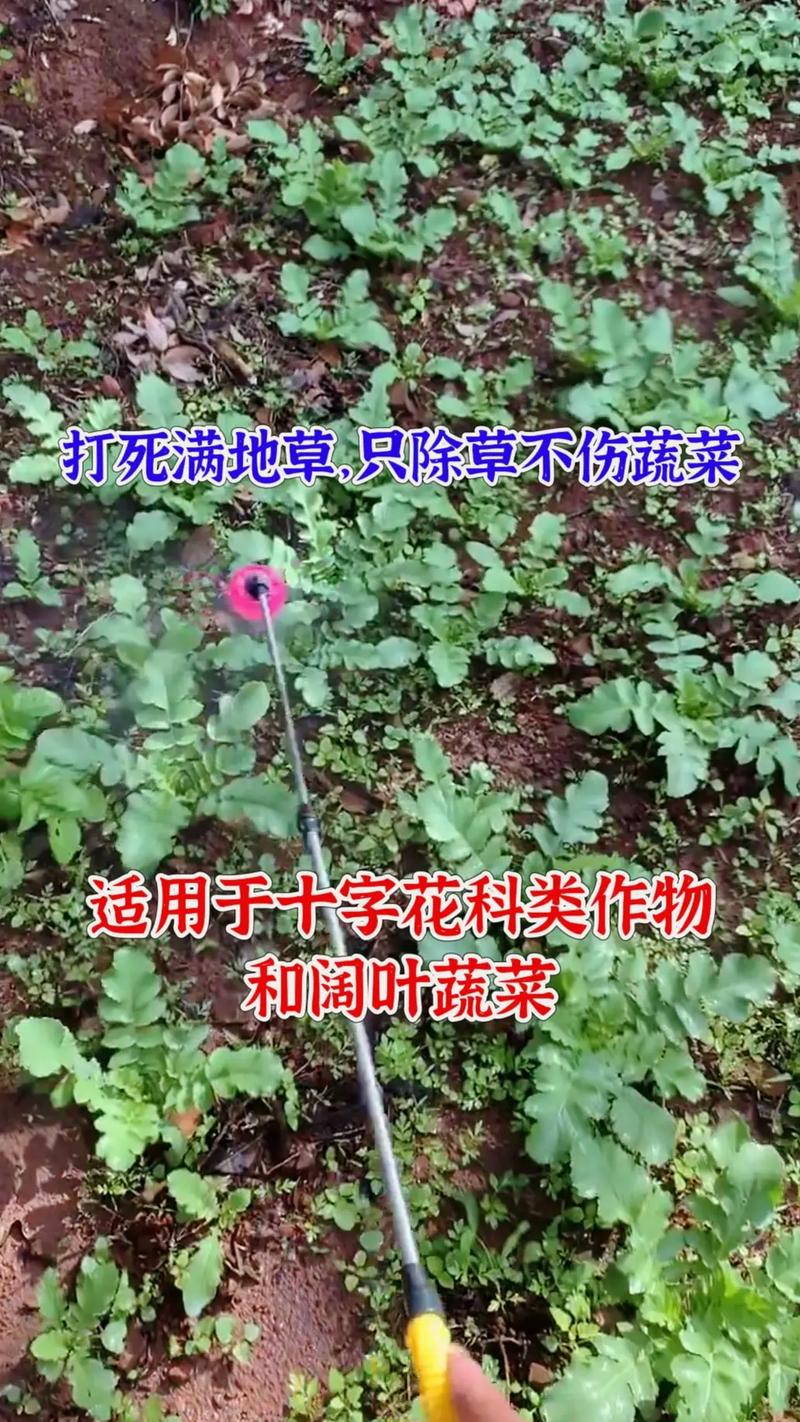 生粪浇地，蔬菜和草都不长，如何恢复原来地貌「田间蔬菜种植技巧与方法视频」 生粪浇地，蔬菜和草都不长，如何恢复原来地貌「田间蔬菜种植技巧与方法视频」 种植技巧