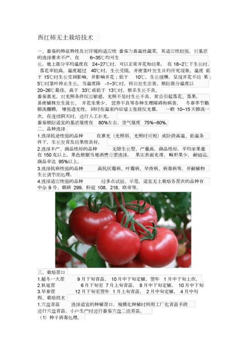 西红柿树种植技术「我的世界番茄怎么种植」 西红柿树种植技术「我的世界番茄怎么种植」 番茄种植技巧